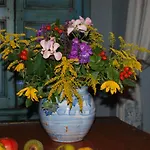 Ferienhaus Erleben Und Ruhe Genießen *