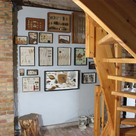 Ferienhaus Erleben Und Ruhe Genießen Neuentempel